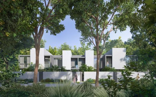 Serene Woodland Retreat: Modern Living Amidst Nature’s Embrace